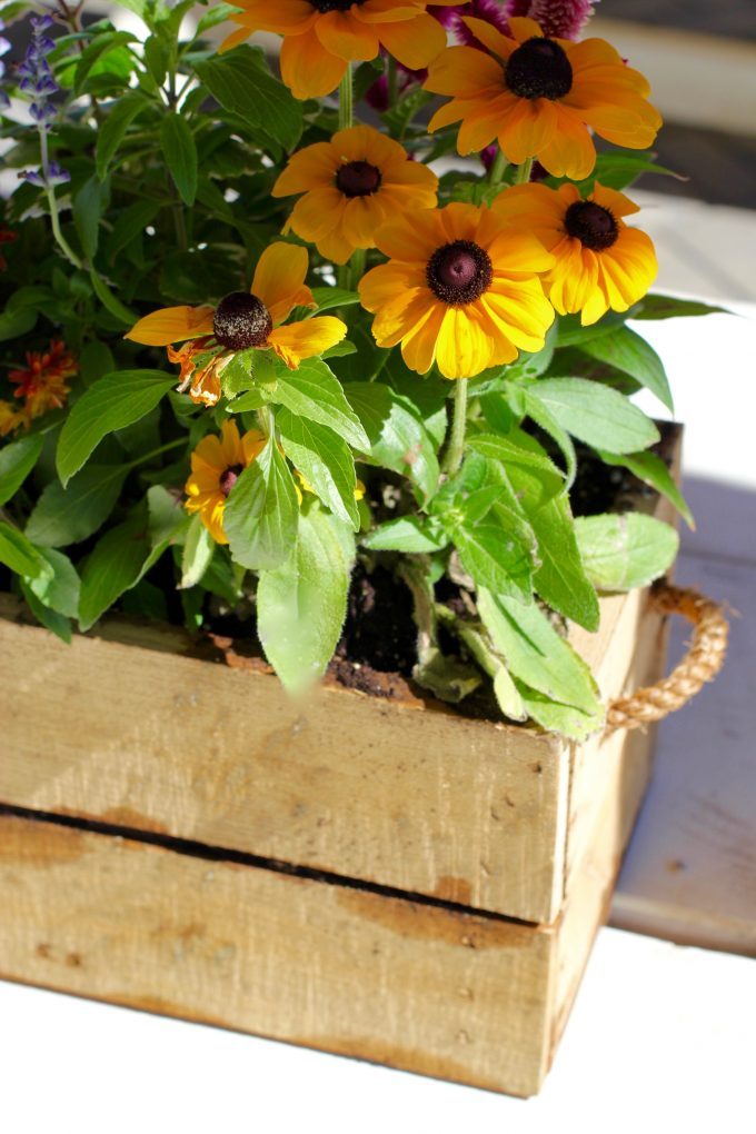 Magnolia Market At The Silos | Chip & Joanna Gaines ~ HGTV Fixer Upper flower box