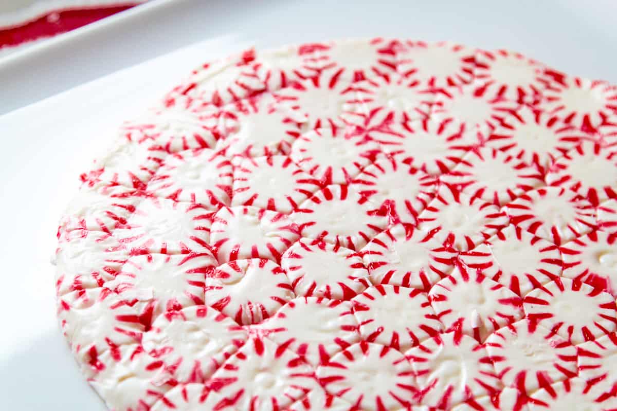 A peppermint candy plate made from peppermints with a pile of fresh baked colorful Christmas cookies.
