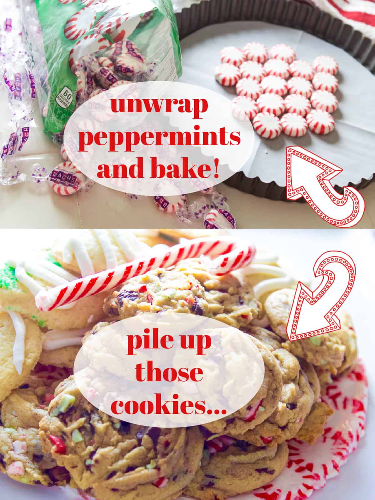 A collage of how to make a peppermint candy plate in a small low tart pan for Christmas.