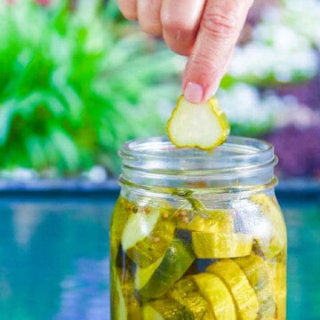 A person pulling a thick dill pickle slice from a large jar of homemade dill pickles.