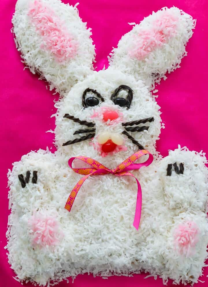 An adorable bunny cake on a hot pink background surrounded with jelly beans.