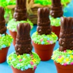 A display of Easter cupcakes decorated with chocolate bunnies and green sprinkles.