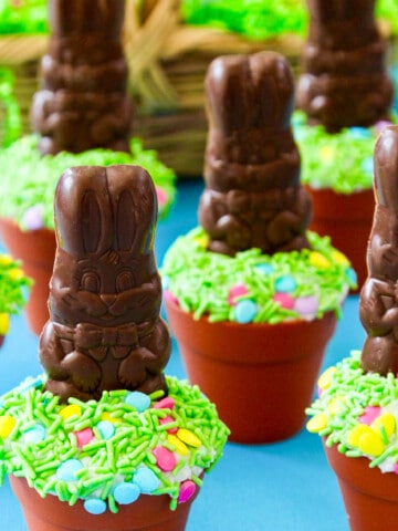 A display of Easter cupcakes decorated with chocolate bunnies and green sprinkles.