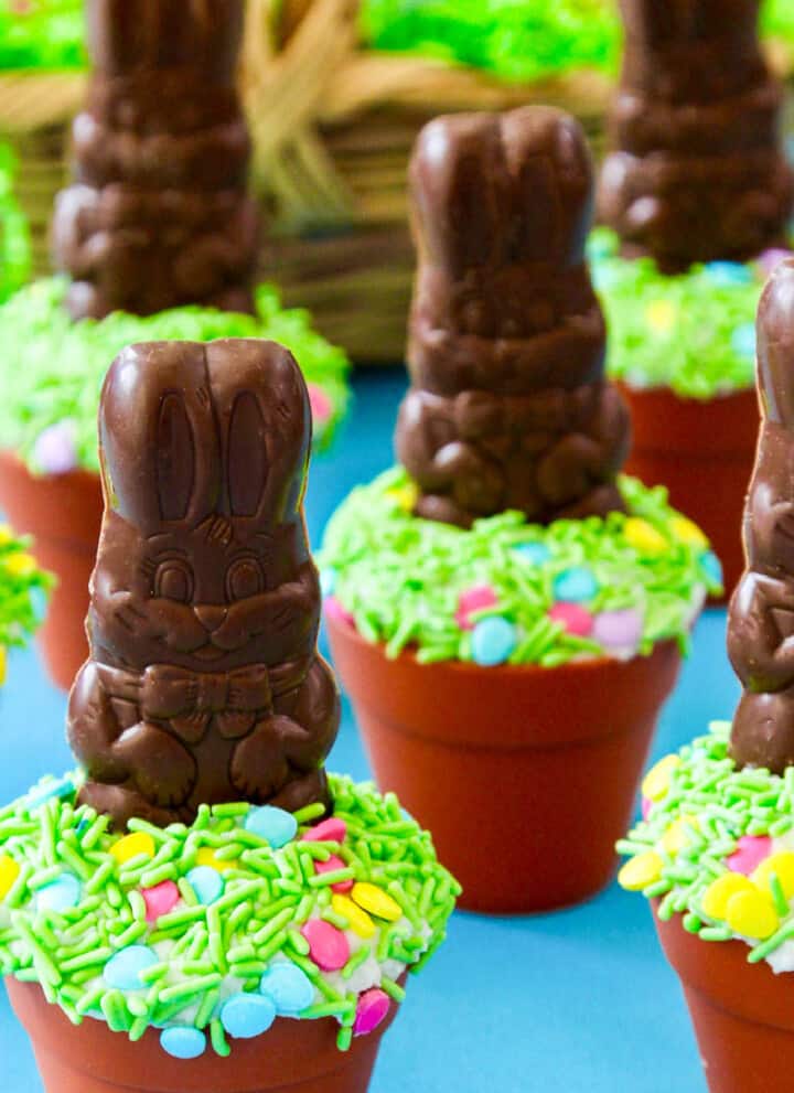 A display of Easter cupcakes decorated with chocolate bunnies and green sprinkles.