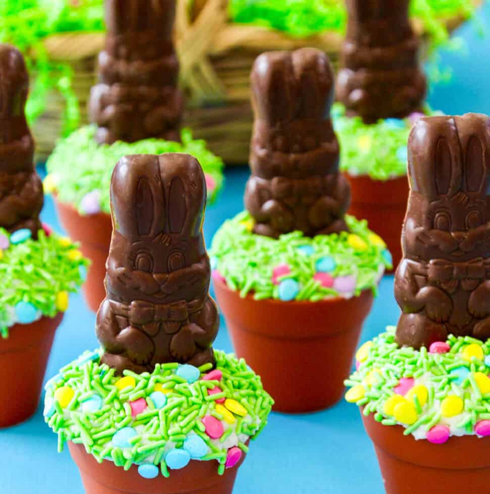 A display of Easter cupcakes decorated with chocolate bunnies and green sprinkles.