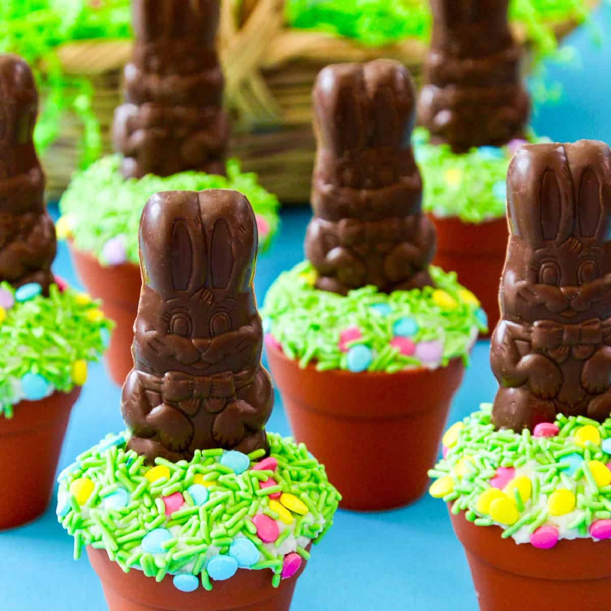 A display of Easter cupcakes decorated with chocolate bunnies and green sprinkles.