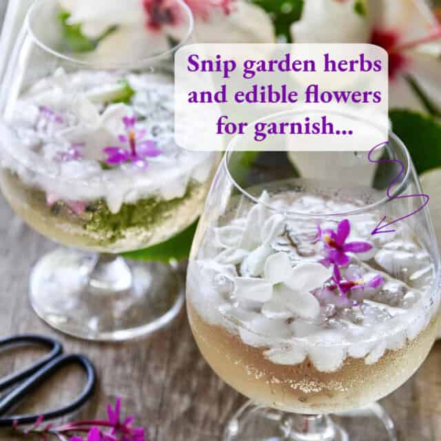 St. Germain Cocktails Easy Summer Spritzers! Delicious Table