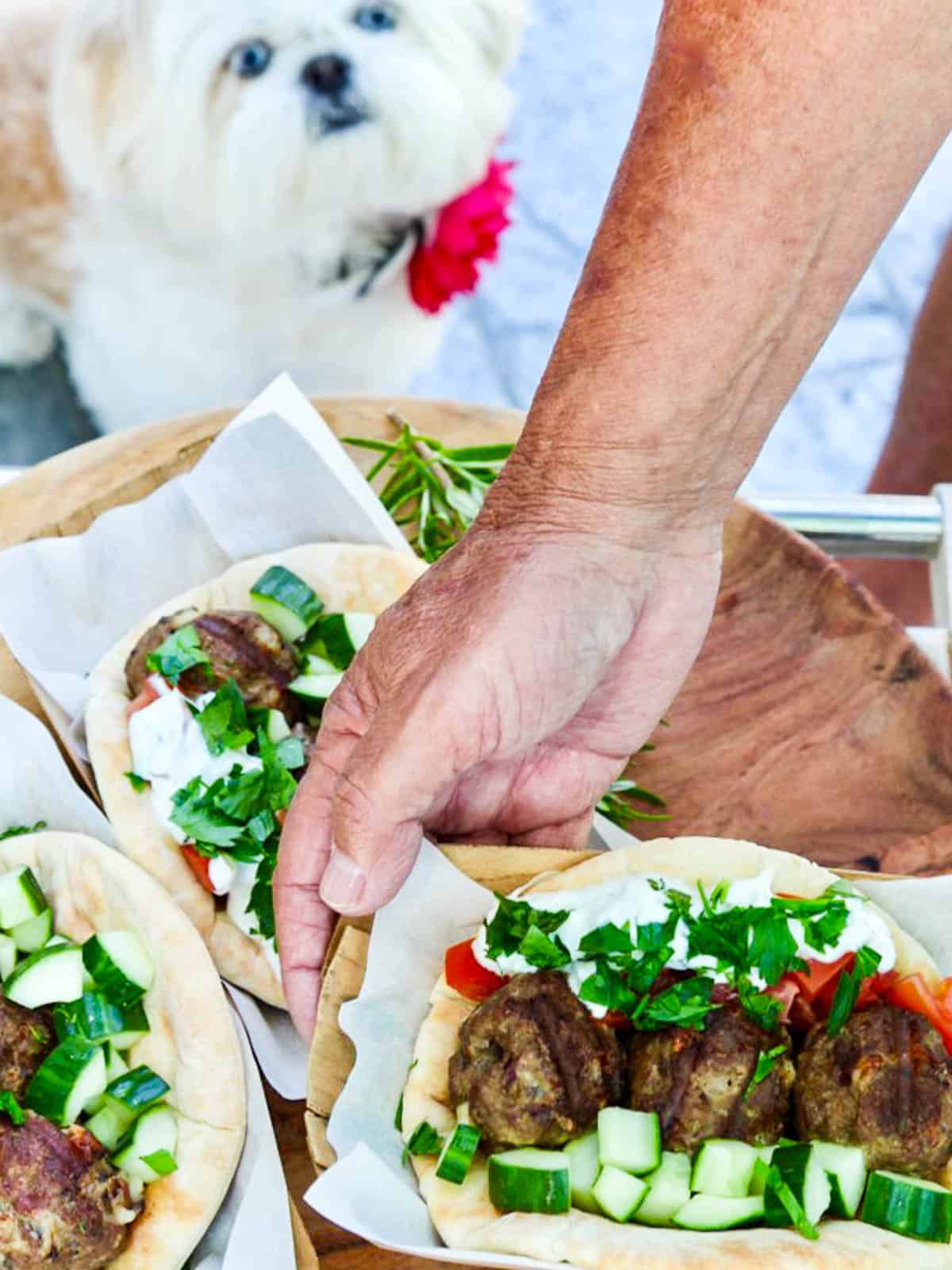 A person holding a wood tray with gyros, and a small white dog looking up to try to get one. 