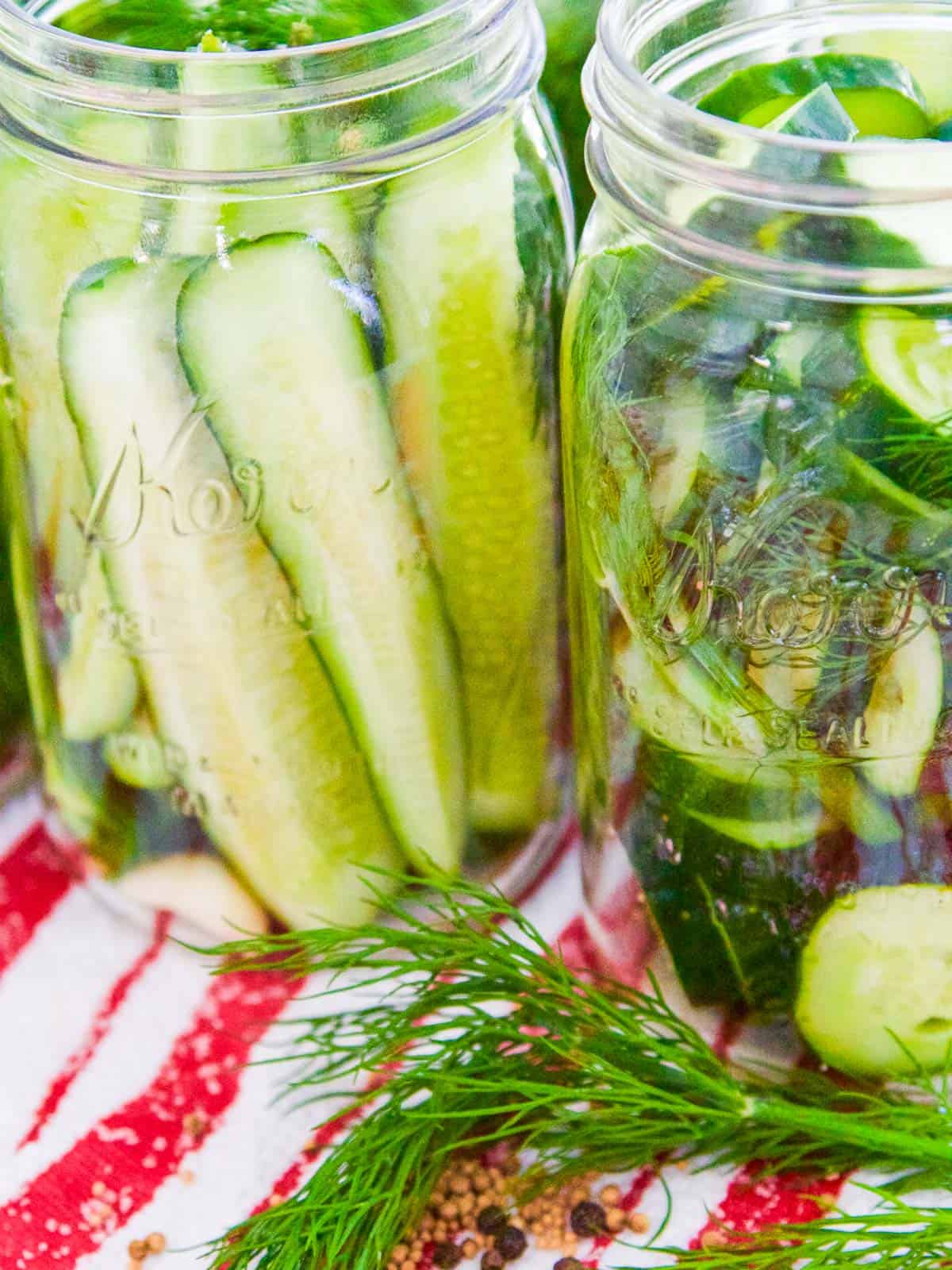 Refrigerator Dill Pickle Recipe (No Canning) - Delicious Table