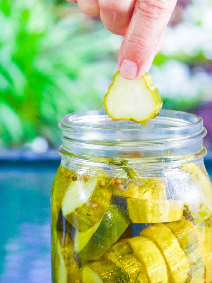 A person pulling a dill pickle chip out of a clear glass canning jar of homemade pickles.