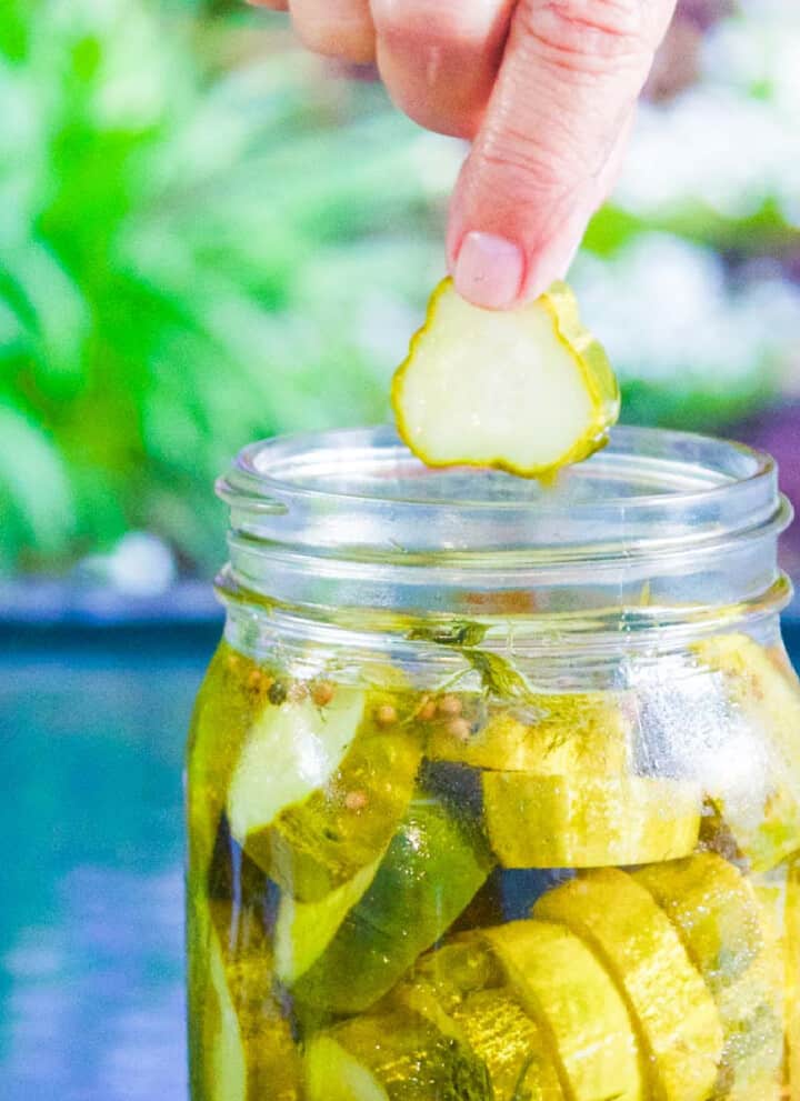 A person pulling a dill pickle chip out of a clear glass canning jar of homemade pickles.