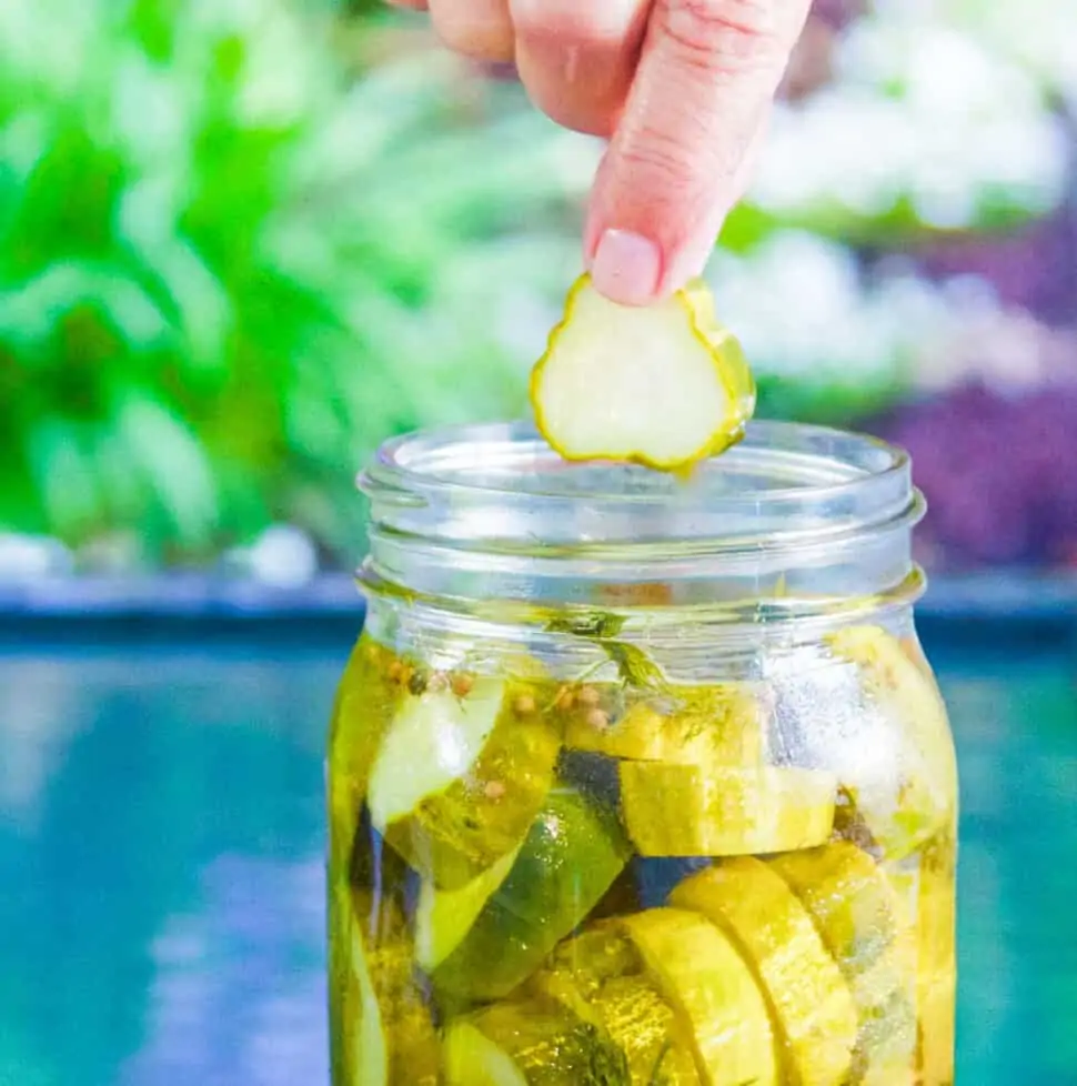 A person pulling a dill pickle chip out of a clear glass canning jar of homemade pickles.