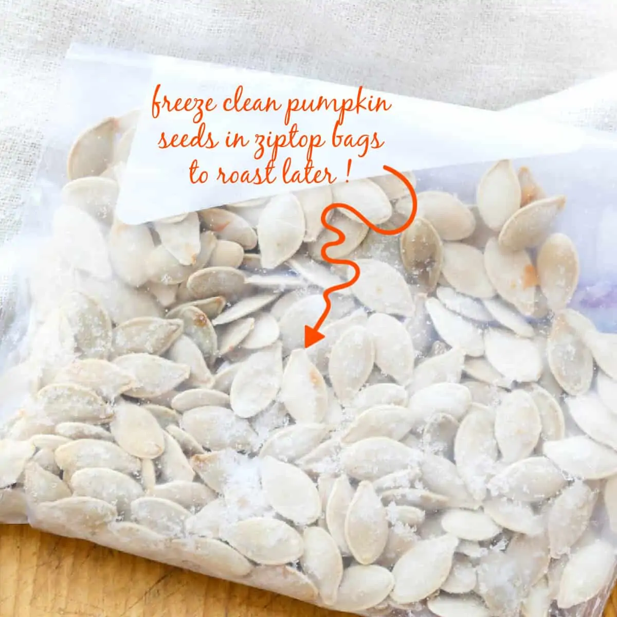 A zip-top bag filled with clean pumpkin seeds to use later in a roast pumpkin seed recipe.