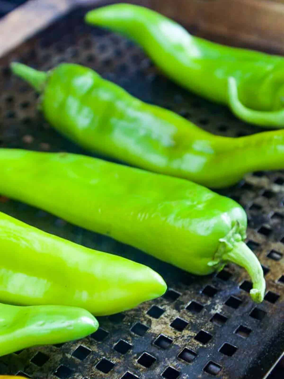 Fresh Hatch Chiles on a grill pan ready to roast.