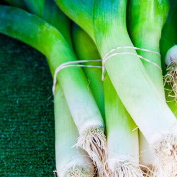 Bright green leeks held by rubber bands at a Farmers market.