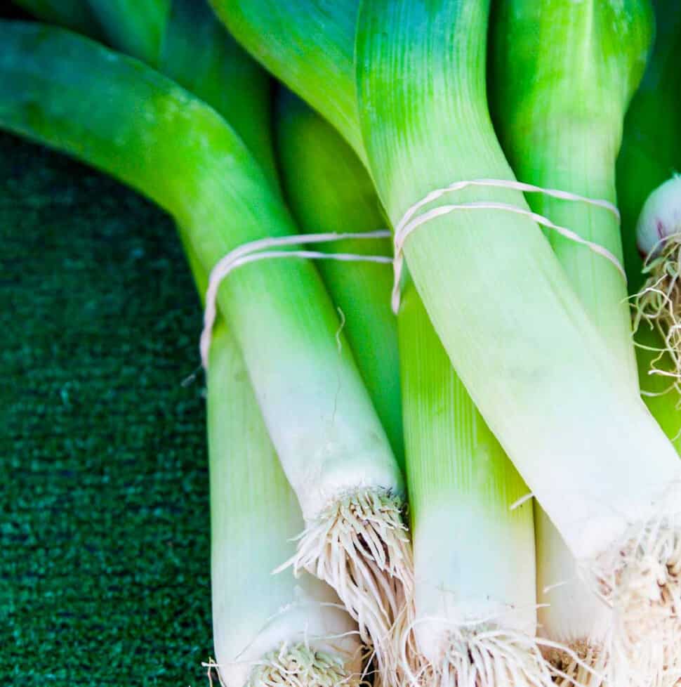 Bright green leeks held by rubber bands at a Farmers market.