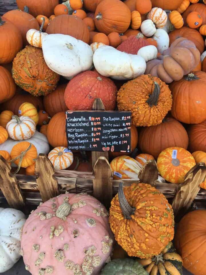 A pile of different shaped and colored pumpkins and a sign listing the prices.