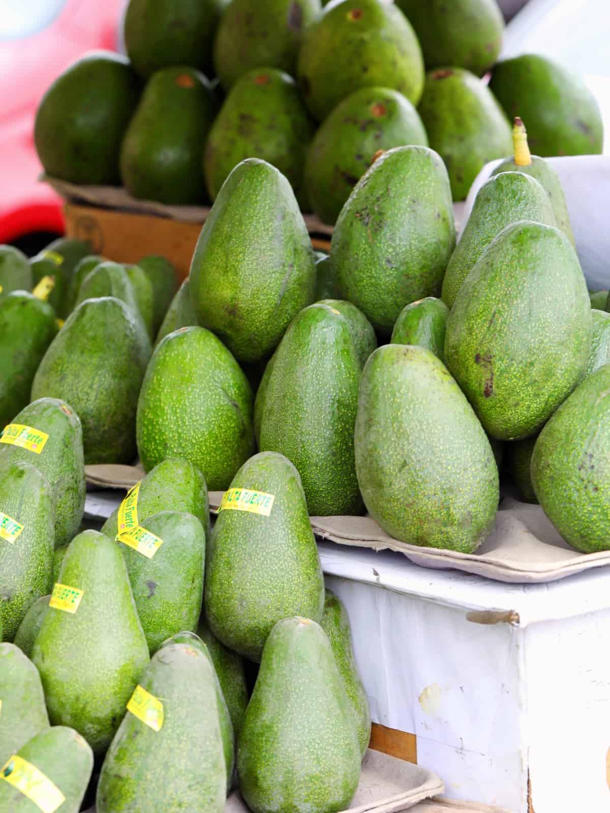 A neat organized pile of avocados in a market for sale.