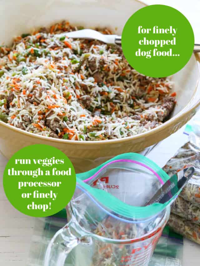 Dog Food Recipe - Healthy, Easy, Homemade! - Delicious Table