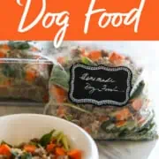 A graphic for Homemade Dog Food with a white dog dish and small labeled bag.