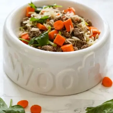 A white ceramic dog dish that says woof filled with homemade dog food.