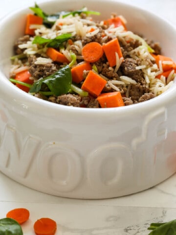 A white ceramic dog dish that says woof filled with homemade dog food.