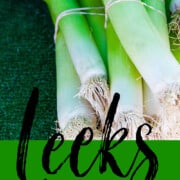 Whole leeks pictured in an ad to learn how to clean, and slice them for recipes.
