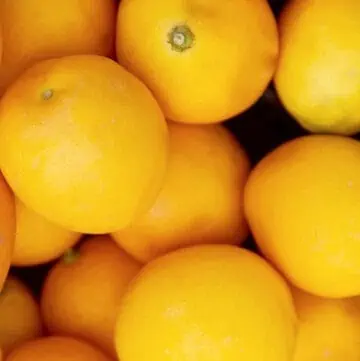 A pile of bright yellow lemons in a pile ready to make lemon recipes.