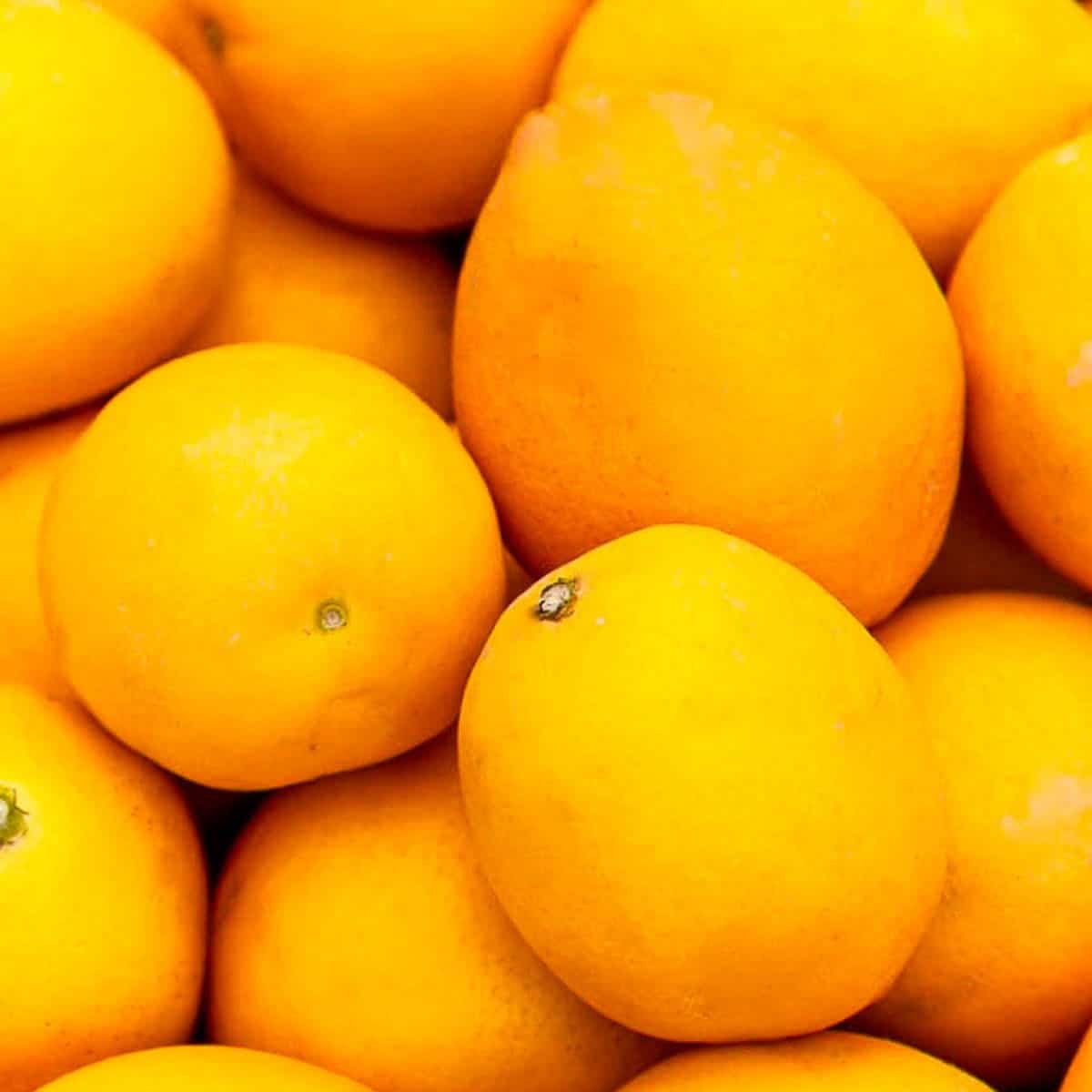 A pile of bright yellow lemons in a pile ready to make lemon recipes.