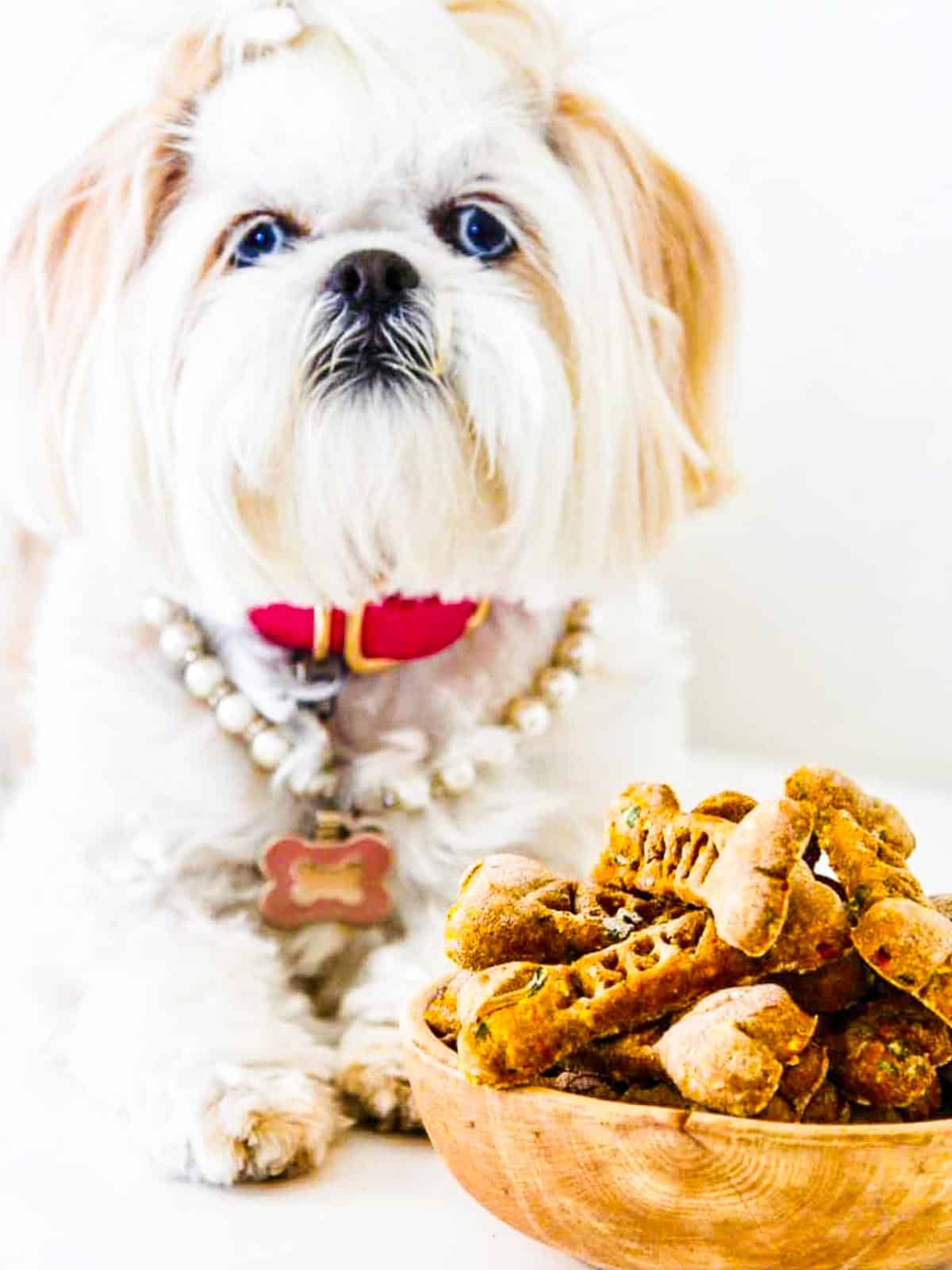 Homemade Dog Treats