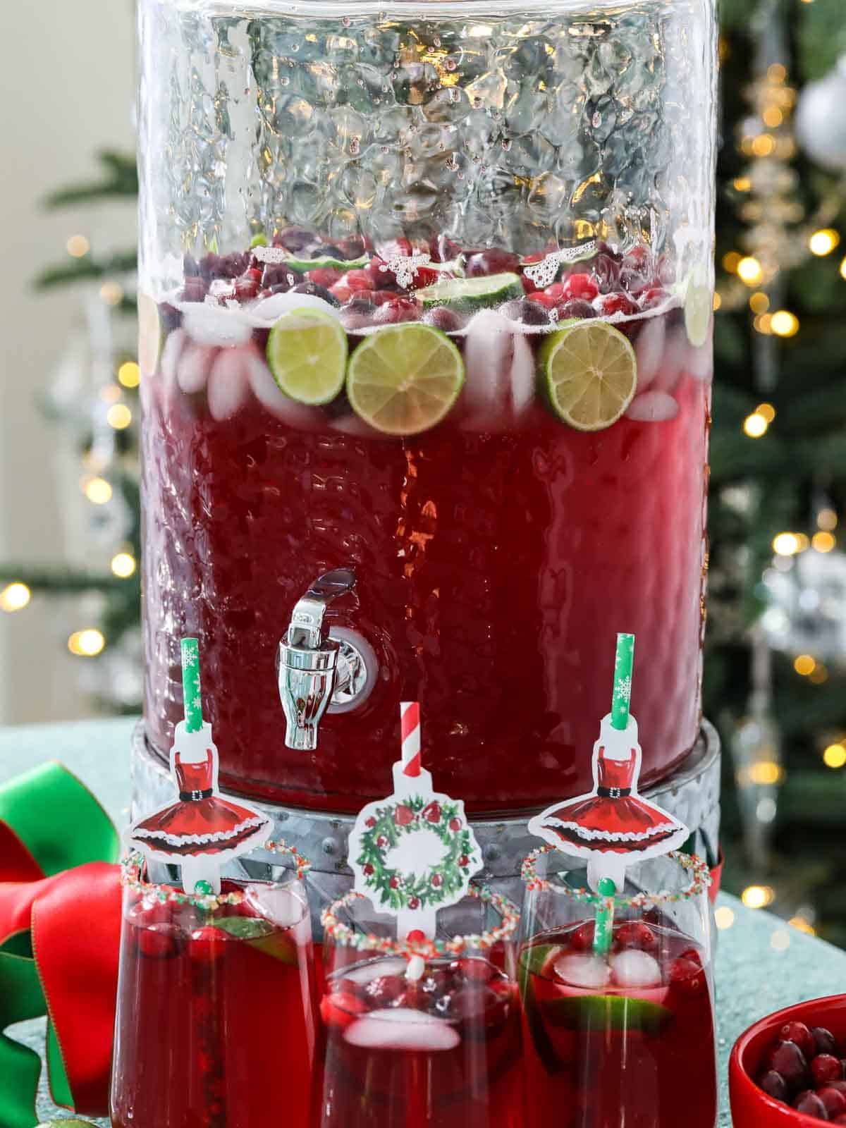 Christmas Punch Recipe - Delicious Table