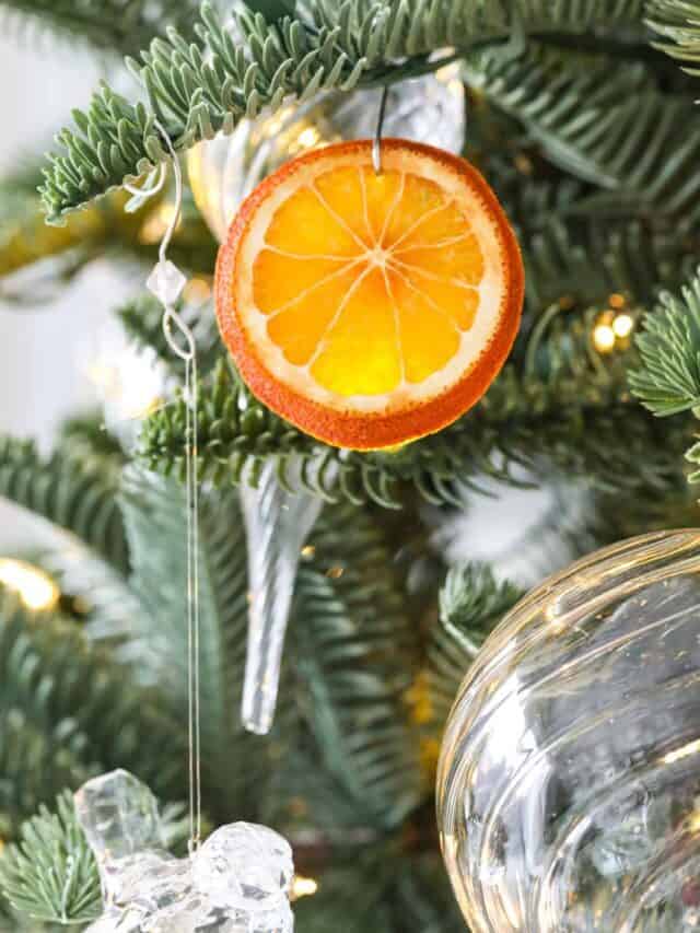 A beautiful dried orange slice hanging on a Christmas tree with the light shining through it.