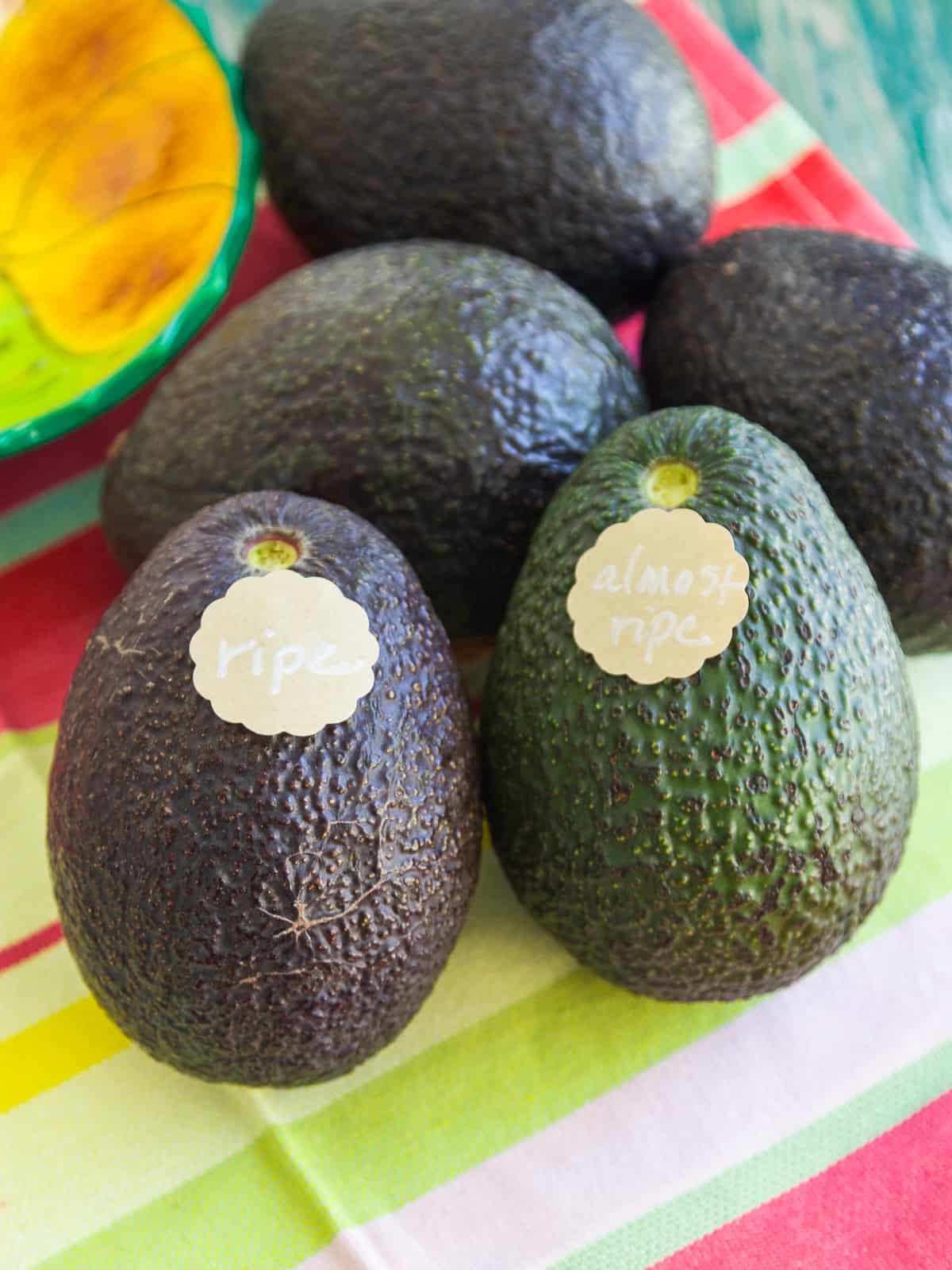 Two avocados labeled with stickers that say ripe and almost ripe on a colorful striped towel.
