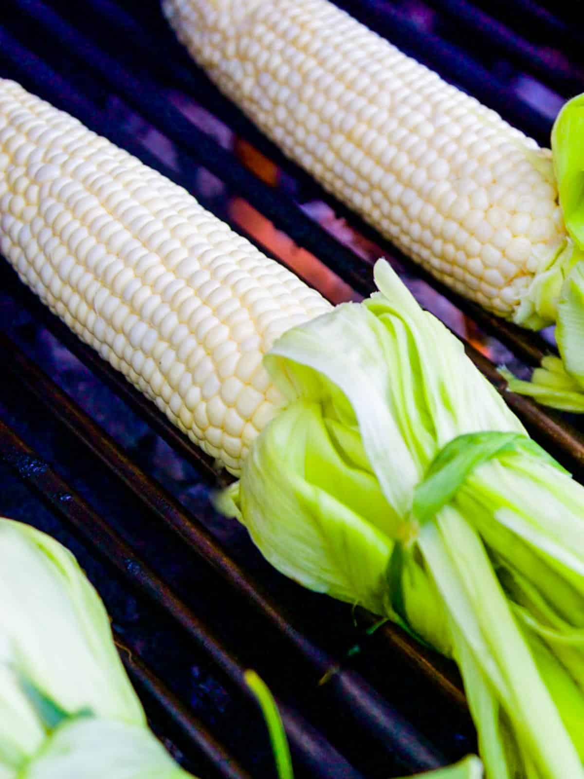 Ears of corn with the husk tied back on a grill.
