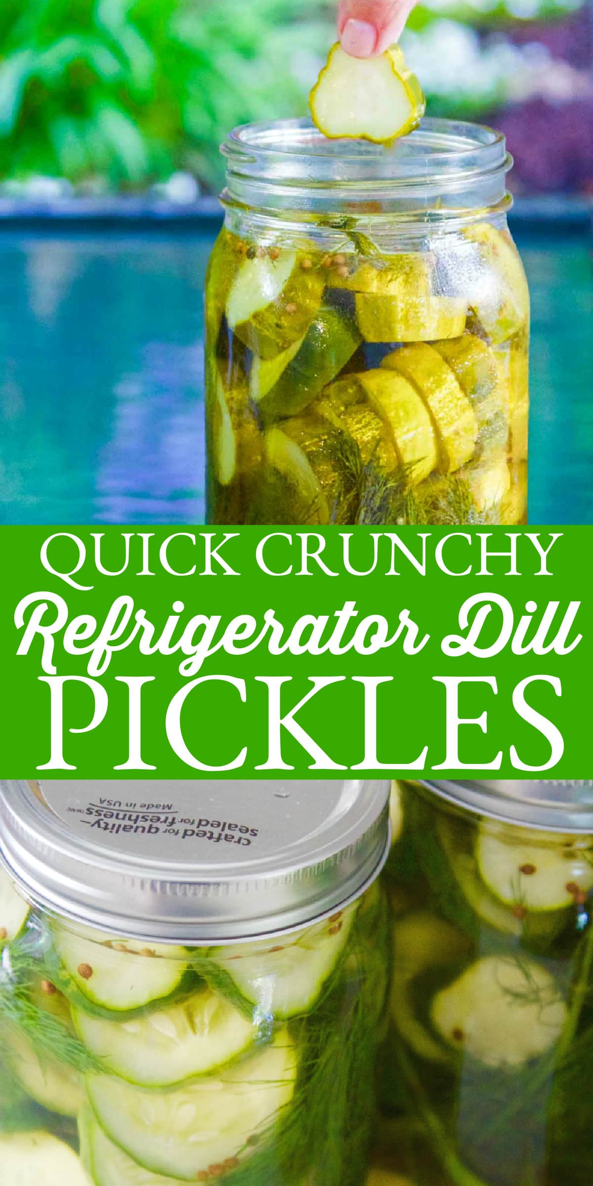 Refrigerator Dill Pickle Recipe (No Canning) Delicious Table