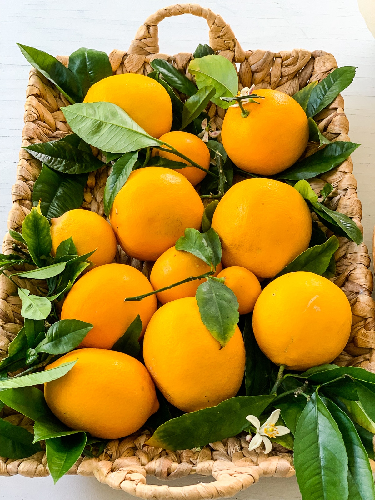 Bright yellow orange Meyer lemons in a rectangle basket with lemon leaves tucked in ready to use in recipes. 